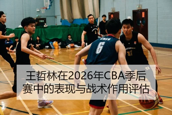 王哲林在2026年CBA季后赛中的表现与战术作用评估