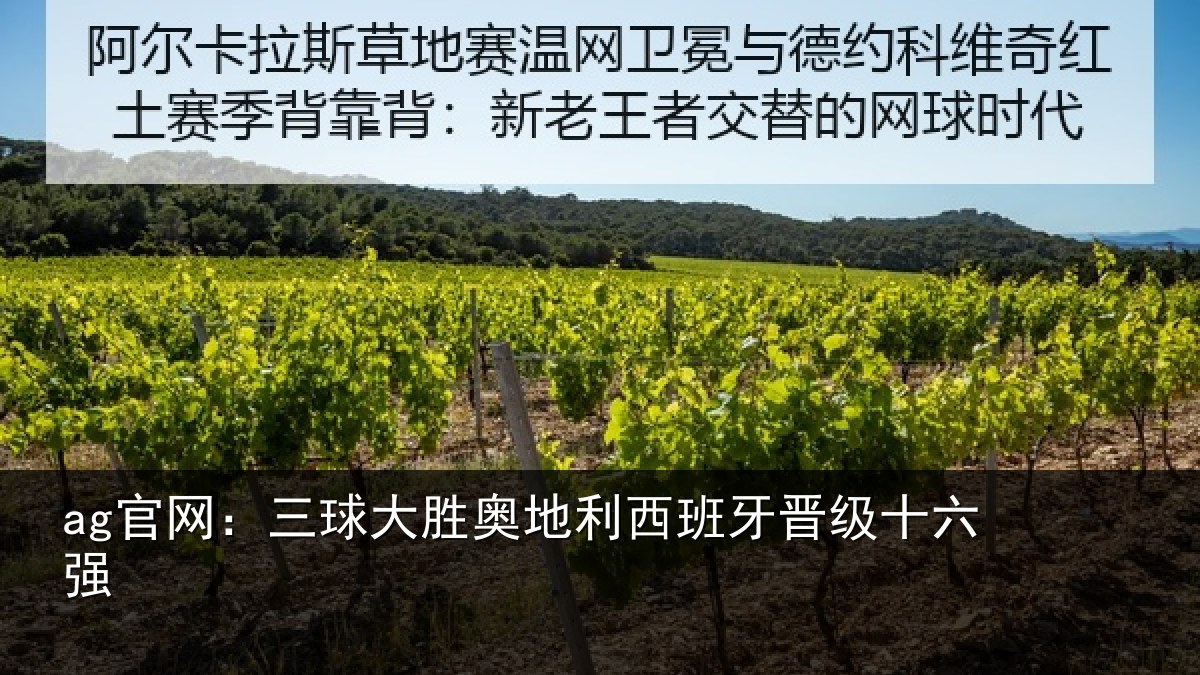 ag官网:三球大胜奥地利西班牙晋级十六强