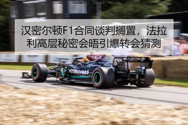 han-mi-er-dun-he-tong-tan-pan-ge-zhi-fa-la-li-gao-ceng-mi-mi-hui-wu-yin-bao-zhuan-hui-cai-ce-3-229.jpg