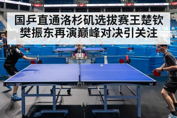 国乒直通洛杉矶选拔赛王楚钦樊振东再演巅峰对决引关注